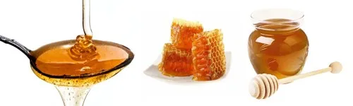 Veltlin-Honig - Onetti-Imkerei